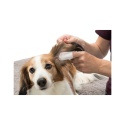 Ear Care Czyste uszy - nakładki na palce 50 szt TRIXIE