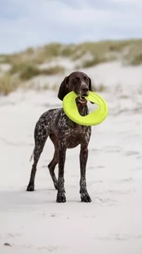 Fiboo Frisboo Latający dysk dla aktywnego psa 25cm ZIELONY