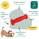 Fiboo Fiboone dental - Gryzak dla Psa 19 cm CZERWONY
